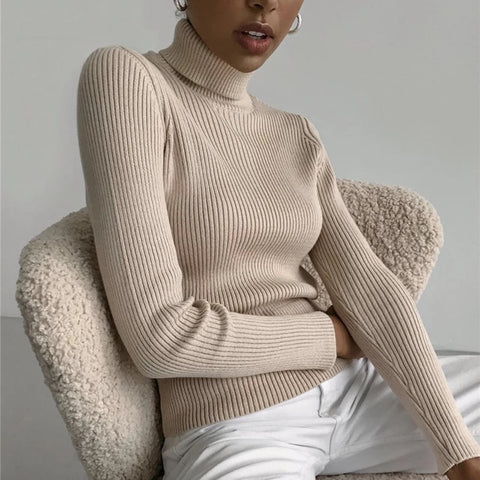 2021 Basic Turtleneck Women Sweaters Autumn Winter Thick Warm Pullover Slim Tops Ribbed Knitted Sweater Jumper Soft Pull Female