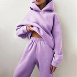 Women's Tracksuit Autumn Plus Fleece Sweatshirts Two Piece Set Casual Oversized Solid Female Sports Hoodie Suit Long Pant Sets