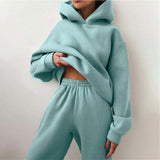 Women's Tracksuit Autumn Plus Fleece Sweatshirts Two Piece Set Casual Oversized Solid Female Sports Hoodie Suit Long Pant Sets